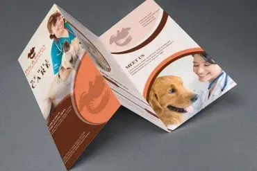 Brochure Design 8