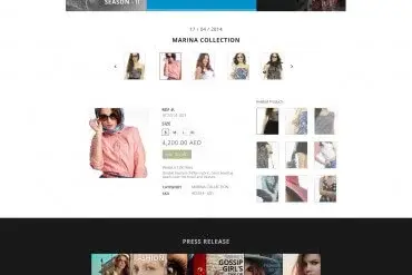 Website design project 12