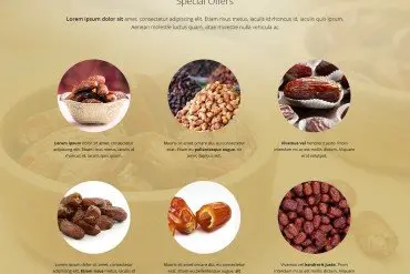 Website design project 14