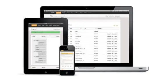 Content Management Systems (CMS) for seamless updates